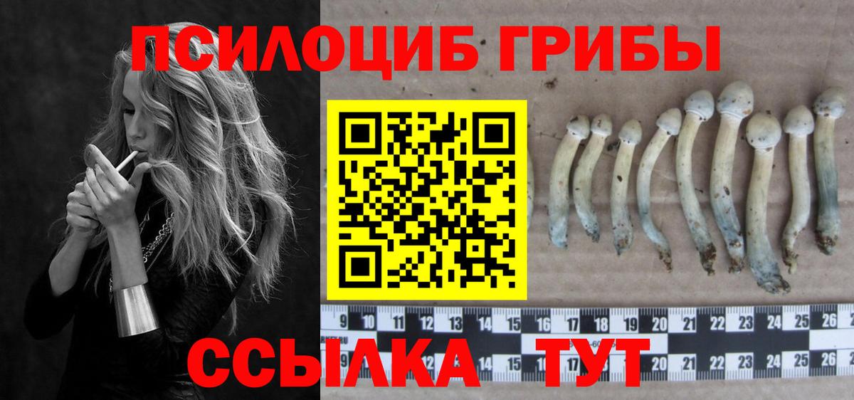 Галлюциногенные грибы мицелий  Вход с VPN  как найти закладки  Ишим  Галлюциногенные грибы ЛСД 